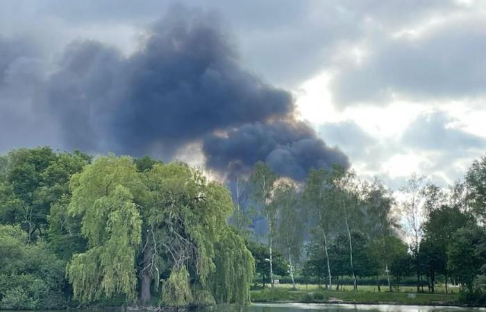 Large fire broke out in greenhouses in Wetteren