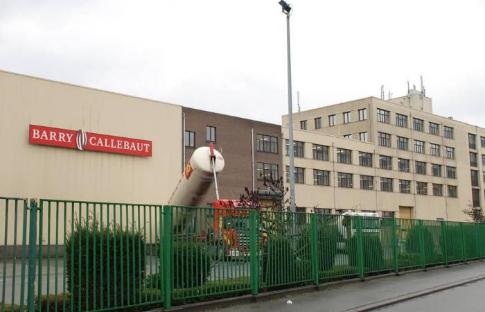 Barry Callebaut stops production in Wieze after salmonella discovery | Economy