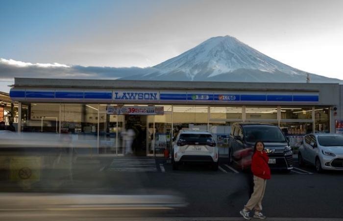Get rid of all those Instagram tourists: Japan blocks beautiful views of Mount Fuji with ugly screen | Bizarre