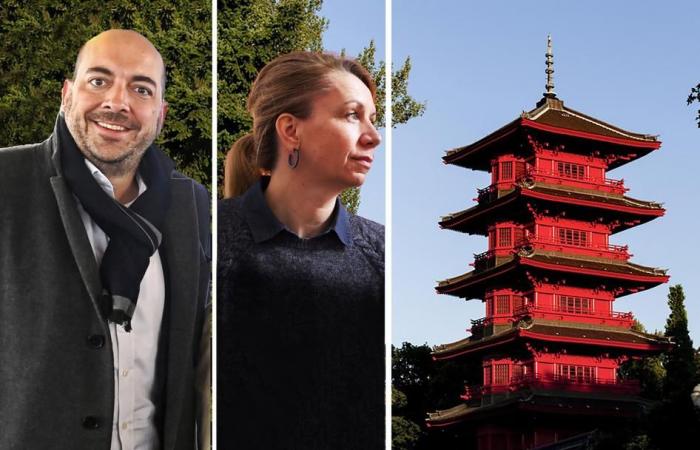 Persoons takes Michel to court in the Japanese Tower case: ‘Mainly vague intentions’