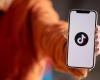 Dutch IT Channel – US Senate gives green light for forced sale of TikTok