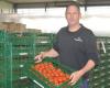 “Good prices for cocktail tomatoes, but price increases for vine tomatoes are more difficult”