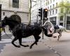 Loose military horses cause chaos in London: at least five people are injured