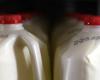Traces of bird flu found in pasteurized milk in the US