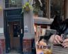 Fans flock to London cafe mentioned by Taylor Swift in new song | Celebrities