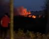 Expanding industrial fire at recycling center in Brecht: “Fire is under control” (Brecht)