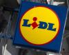 Lidl slammed by angry customer: “It was bad, I drove to Albert Heijn”