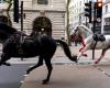 LOOK. Another incident involving military horses in London: “What’s happening here” | Abroad