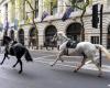 New images show chaos caused by escaped horses in London