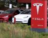 US regulator investigates major Tesla recall | Abroad
