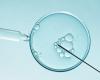 The success rate of IVF varies enormously between hospitals