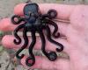 13-year-old finds rare Lego octopus, 27 years after container containing millions of pieces ended up in the sea