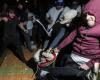 Riots between demonstrators at LA University, police intervene in New York