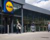 At Lidl, meat substitutes now cost the same as real meat: “They want to break the classic meat, fries, vegetables pattern”