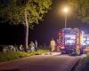 Car crashes into tree: one person in danger of death, two slightly injured (Geraardsbergen)
