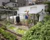 Pesticides banned in private gardens in Brussels from 2025 (Brussels)