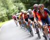 INEOS Grenadiers must rely on collective in Giro: “Important role for Arensman”