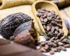Cocoa price suddenly collapses again after historic peak due to approaching rain | Economy