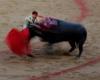 Spanish government stops awarding the best bullfighter: “Out of date”
