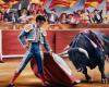 Spain has canceled the National Bullfighting Prize, causing division