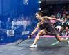 History! Nele and Tine Gilis lead Belgium to historic European squash title