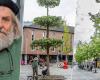 How Bart (64) provided his city of Aalst with the most special collection of trees in Belgium: “I have no children of my own, this is my inheritance” | Aalst