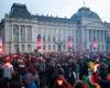 Iris festival attracts 80,000 visitors, a surprising number of families (Brussels)