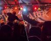 When stage diving goes completely wrong: young woman seriously injured after singer of punk rock band jumps into audience | Abroad