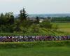 Giro 2024: Live blog stage 3 to Fossano – Peloton prepares for final