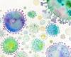 Most people have local antibodies against coronavirus
