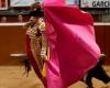 Seville lets children go to bullfights for free: “Best way to get acquainted with tradition” | Abroad