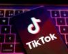 TikTok introduces tool to tag AI-generated content
