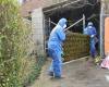 Limburgers can have asbestos collected at home for another three years (Hasselt)