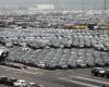 In Zeebrugge, tens of thousands of cars are waiting for a buyer: “We are not doing well here in Belgium” (Bruges)