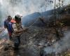 Mexico is struggling with 159 wildfires, including power outages during a heat wave: “Temperatures up to 48 degrees”