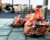 Just Brussels about the impact of a strike: ‘Put uncollected waste bags back inside’