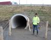 Crossing in a port area is risky for amphibians, but Natuurpunt came up with a solution for this: “Fifty-meter-long tunnel pressed under the road surface” (Beveren-Waas)