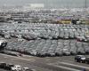 Tens of thousands of cars are waiting for a buyer in Zeebrugge: “But it is not true that there are enough Chinese cars here”