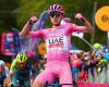 Tadej Pogacar does not leave a crumb behind and fills his basket with a third stage victory in the Giro